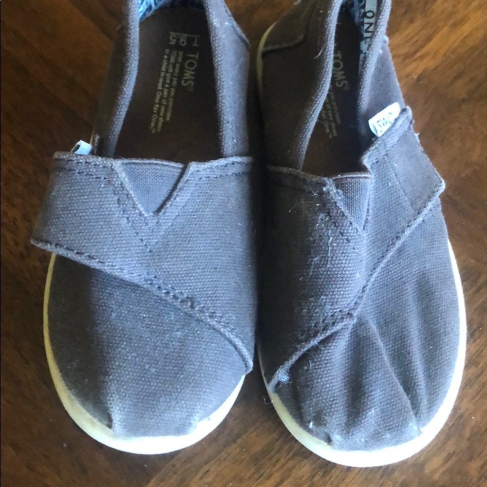 Toddler TOMS—great condition!